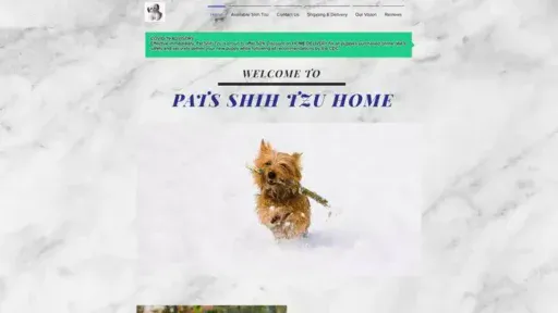 Screenshot of