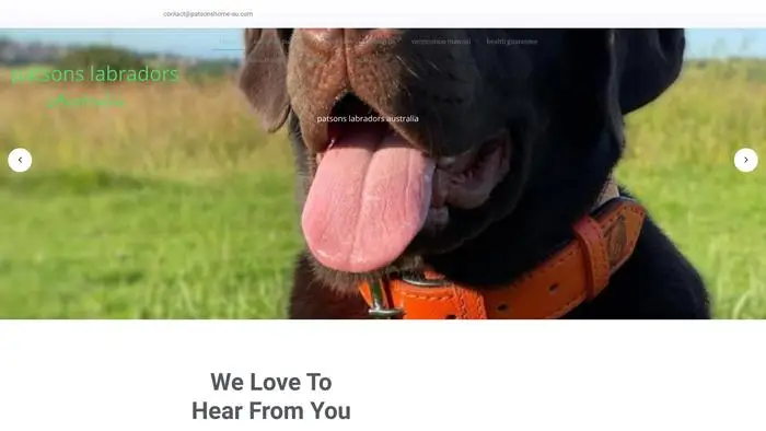 Screenshot of