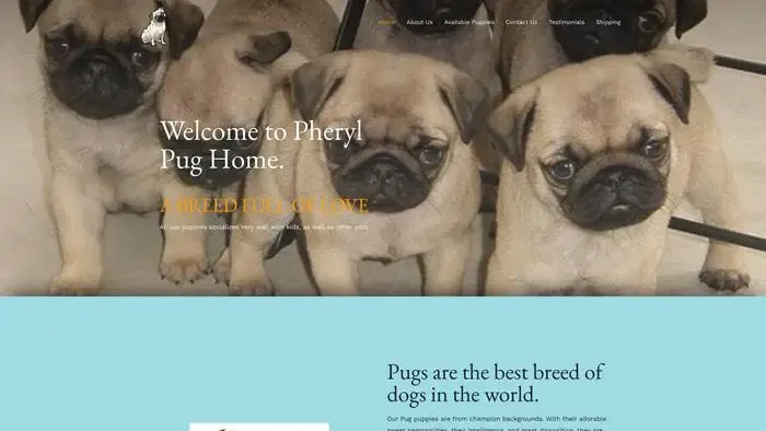 Screenshot of