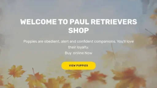 Screenshot of