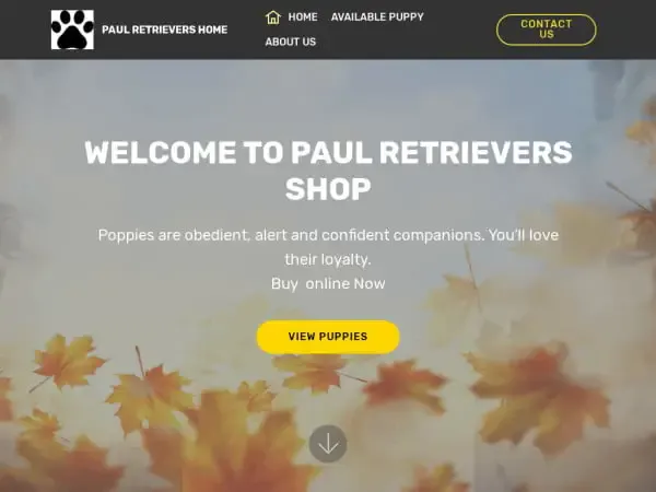 Screenshot of