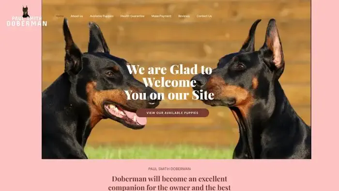 Screenshot of