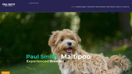 Screenshot of