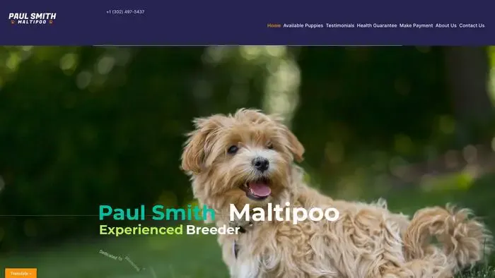 Screenshot of
