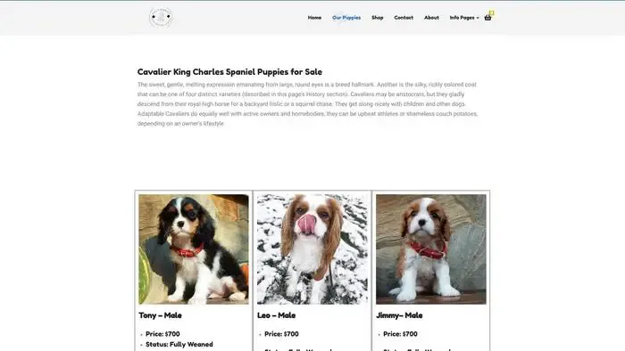Screenshot of