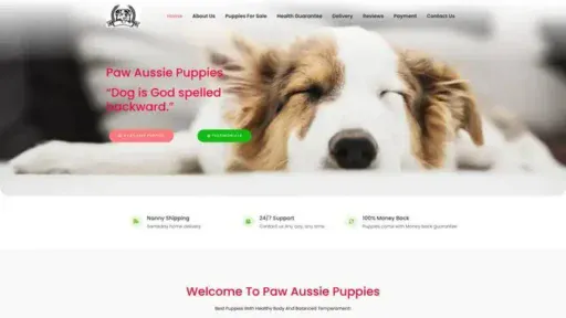 Screenshot of