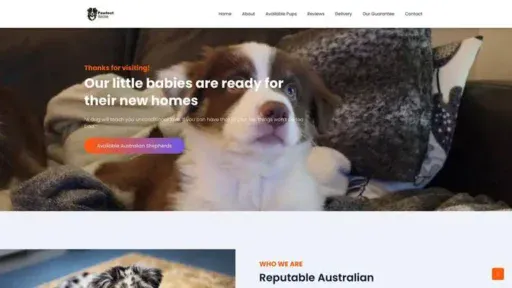 Screenshot of