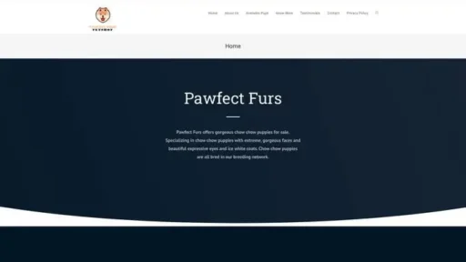 Screenshot of