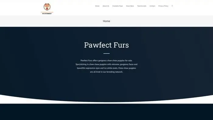 Screenshot of