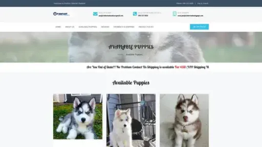 Screenshot of