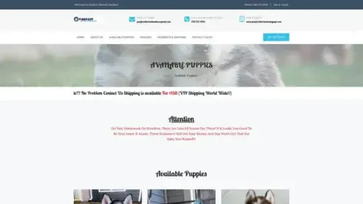 Screenshot of
