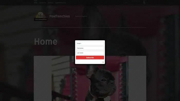 Screenshot of