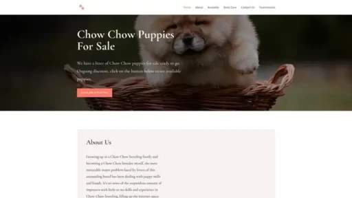 Screenshot of