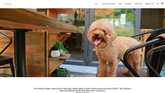 Screenshot of