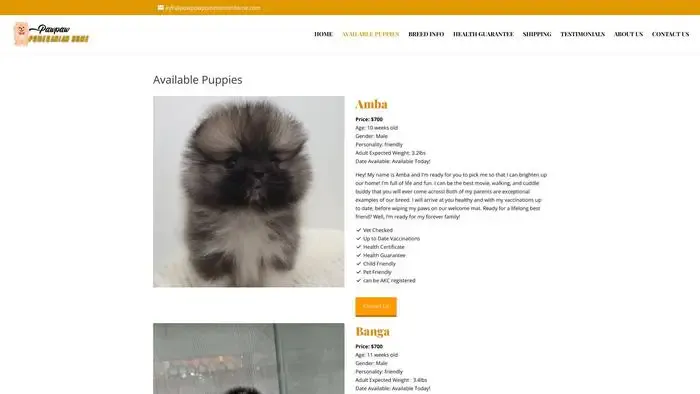 Screenshot of