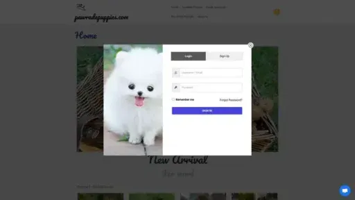Screenshot of