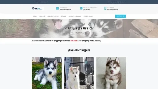 Screenshot of