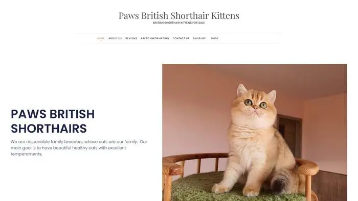 Screenshot of||