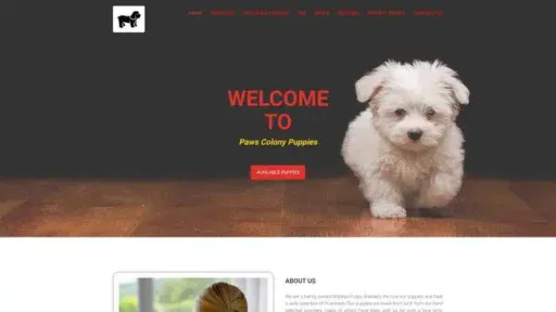 Screenshot of