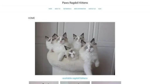 Screenshot of