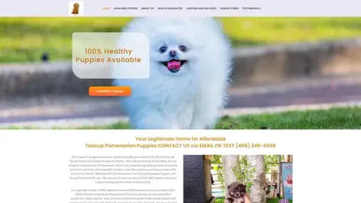 Screenshot of