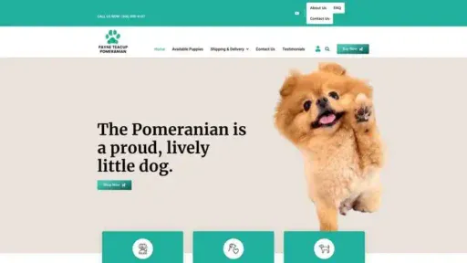 Screenshot of