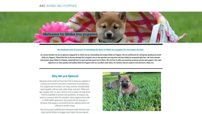 Screenshot of