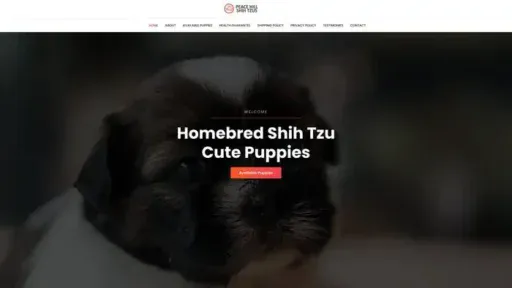 Screenshot of