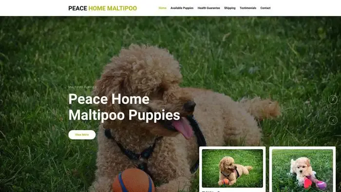 Screenshot of