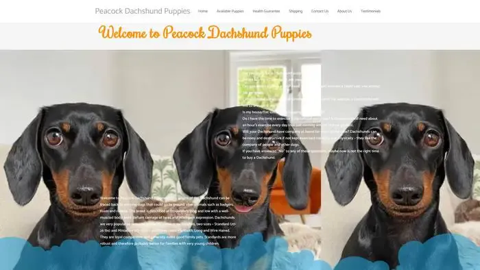 Screenshot of