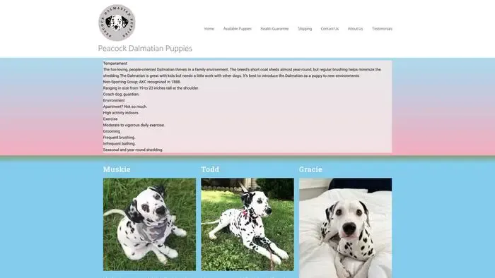 Screenshot of
