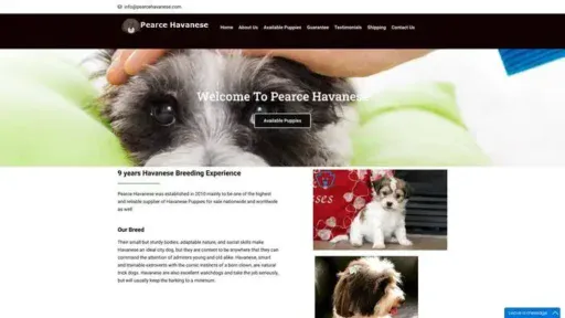 Screenshot of