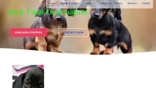 Screenshot of