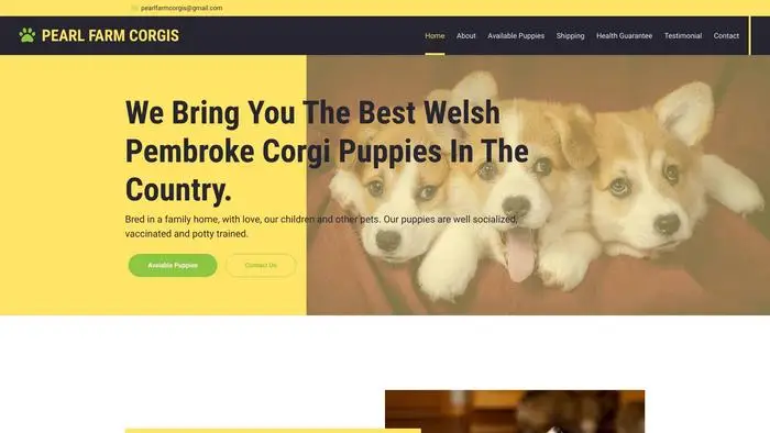 Screenshot of