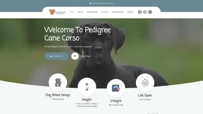 Screenshot of