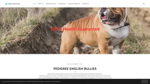 Screenshot of
