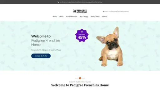 Screenshot of