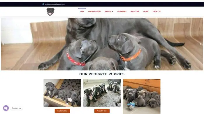 Screenshot of