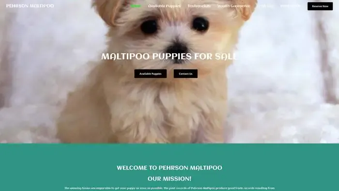 Screenshot of