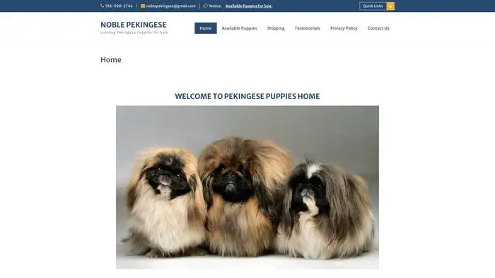 Screenshot of