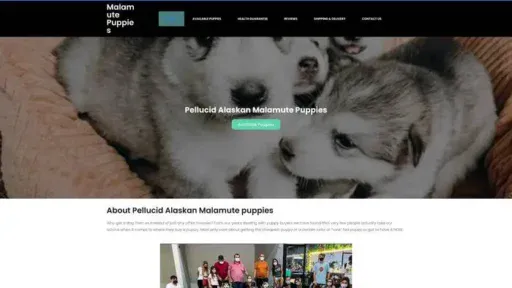 Screenshot of