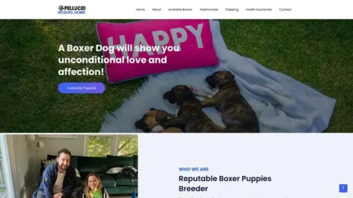 Screenshot of
