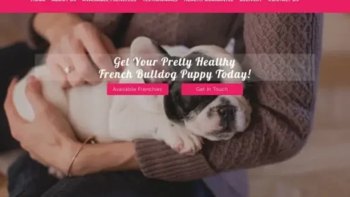 Screenshot of