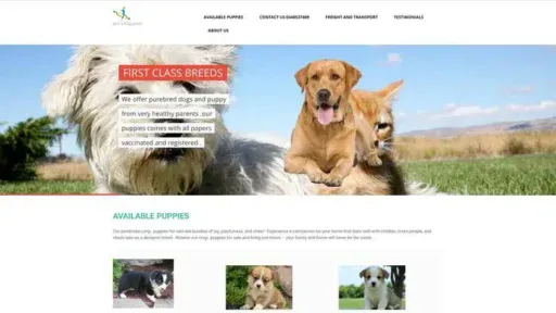 Screenshot of