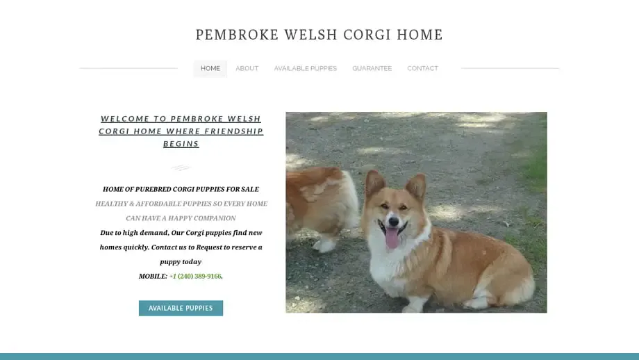 Screenshot of