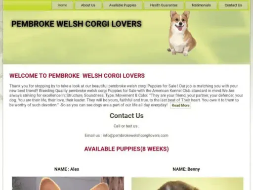 Screenshot of