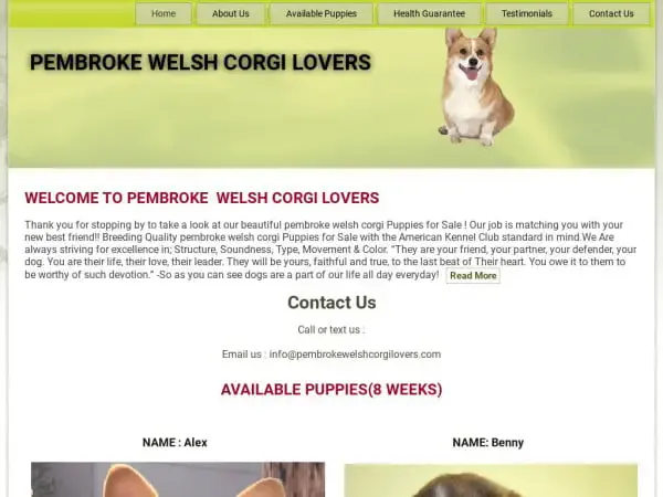 Screenshot of