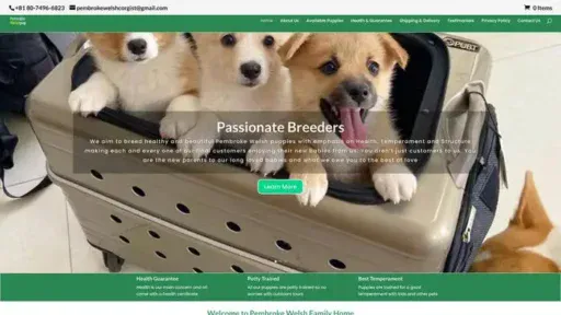 Screenshot of