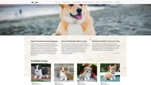 Screenshot of
