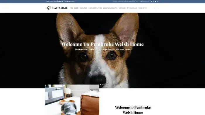 Screenshot of